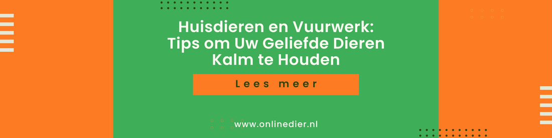 Huisdieren en Vuurwerk: Tips om Uw Geliefde Dieren Kalm te Houden - Onlinedier