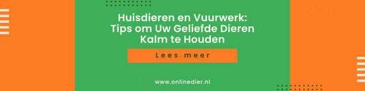 Huisdieren en Vuurwerk: Tips om Uw Geliefde Dieren Kalm te Houden - Onlinedier