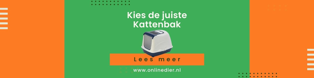 Kies de juiste Kattenbak