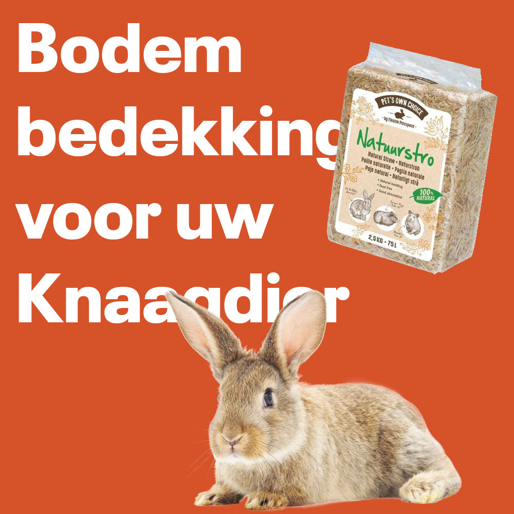 Knaagdier Bodembedekking - Onlinedier