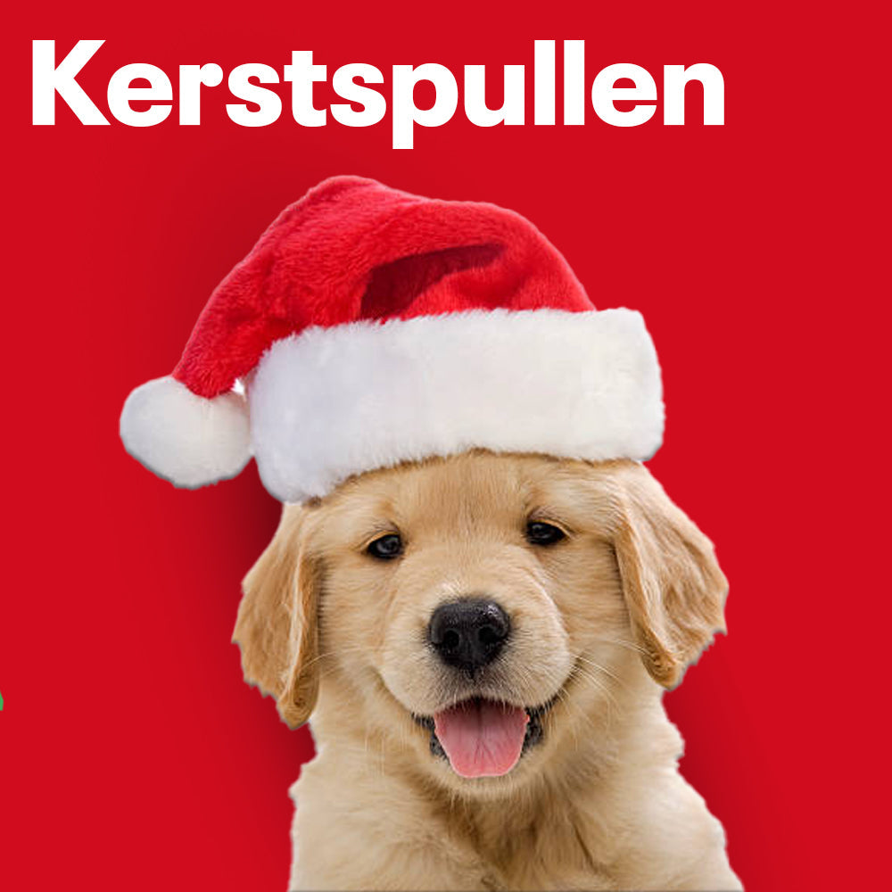 Hond Kerst