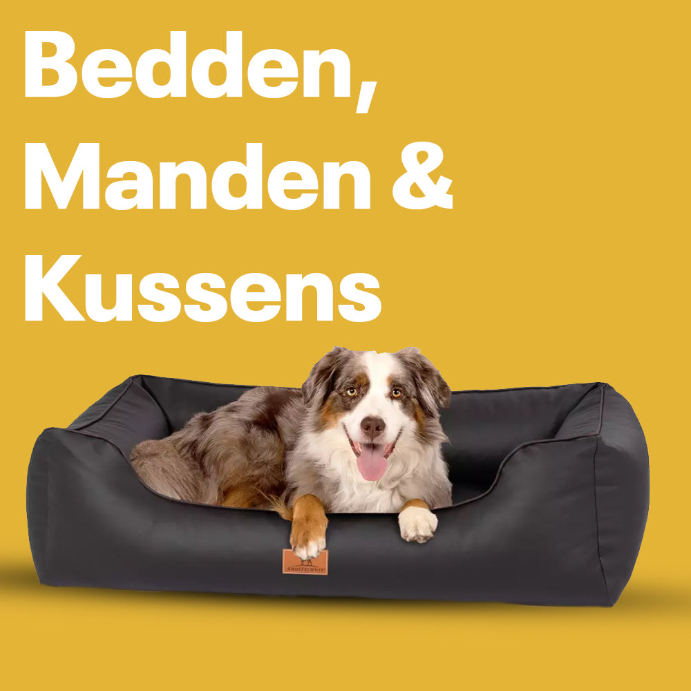 Hond Bedden, Manden & Kussens - Onlinedier