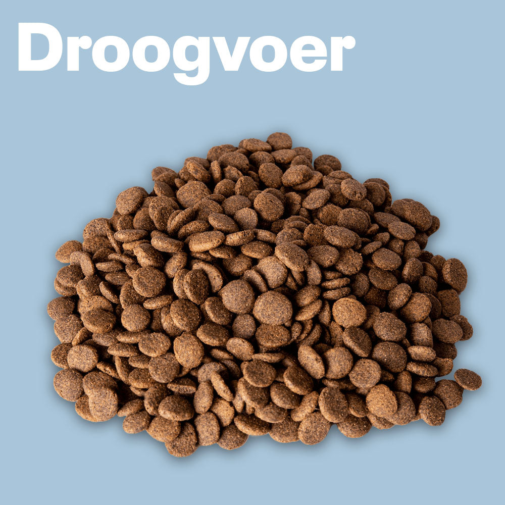 Hond Droogvoer - Onlinedier