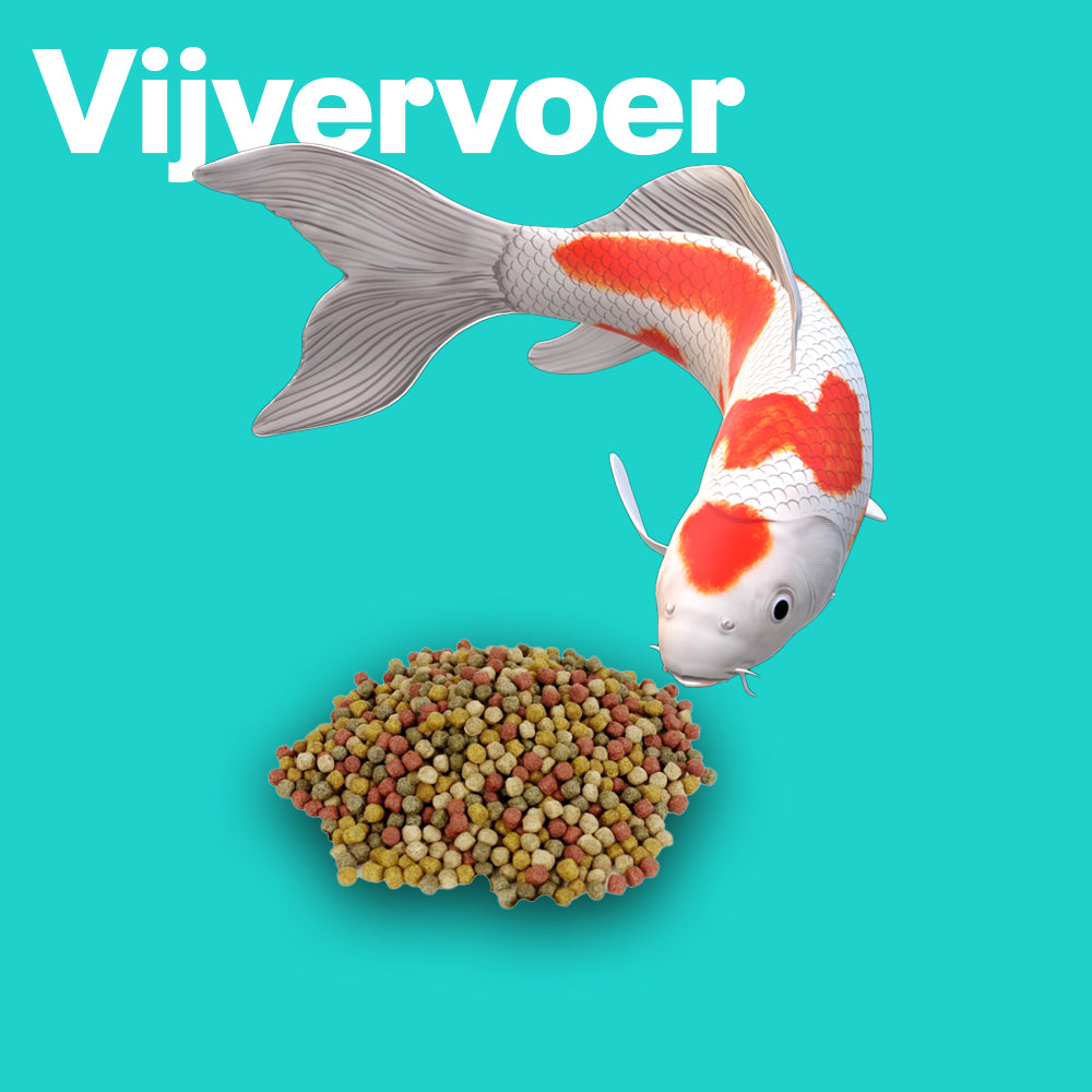 Vijvervoer - Onlinedier