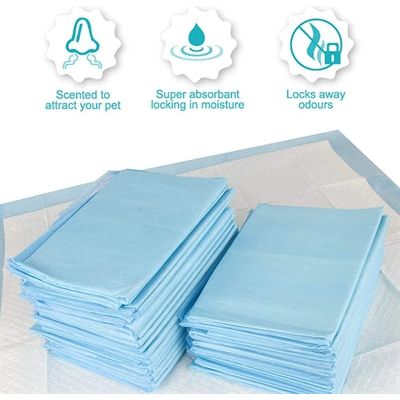 Petsentials Puppy Training Pads