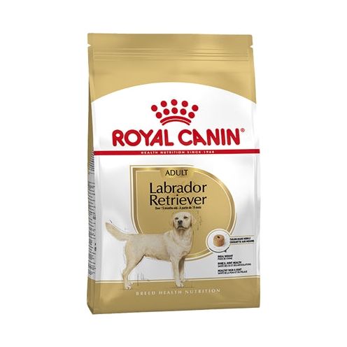 Royal Canin Labrador Retriever Adult