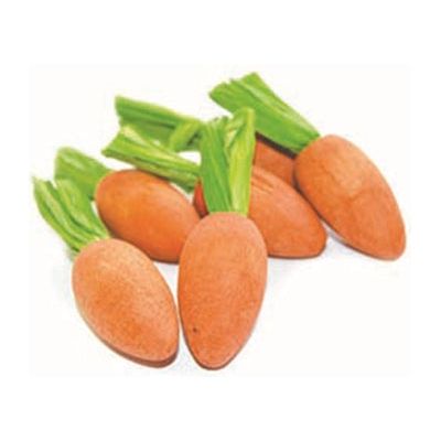 Critter's Choice Happy Pet Carrot Nibblers Knaaghout