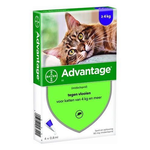 Bayer Advantage Kat