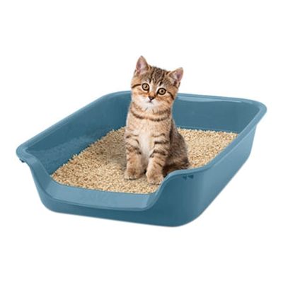 Savic Junior Kattenbak Blauw