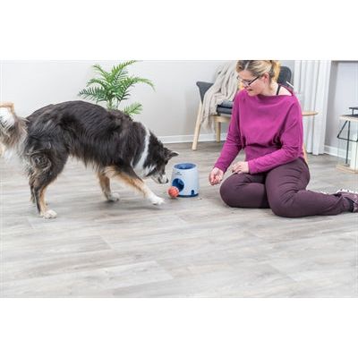 Trixie Dog Activity Strategiespel Ball&Treat Wit / Blauw