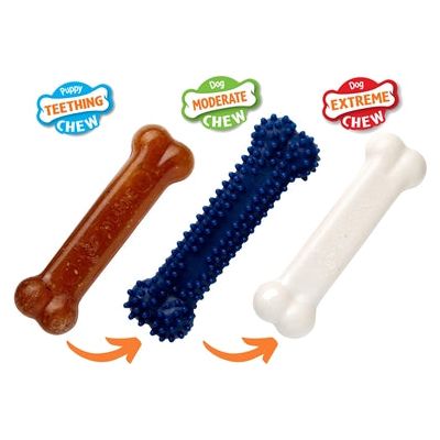 Nylabone Puppy Chew Puppy Starter Kit Chicken