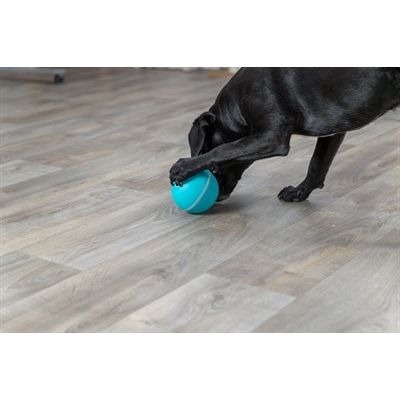 Trixie Snackbal Hond Kunststof / Tpr Blauw