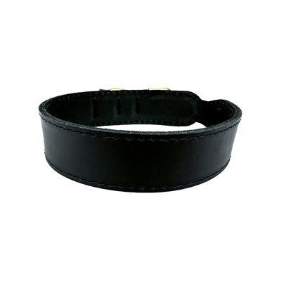 Sazzz Halsband Hond Pioneer Classic Leer Zwart