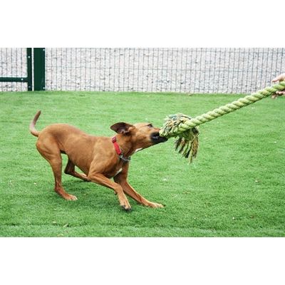 Happy Pet King Size Tug Flostouw